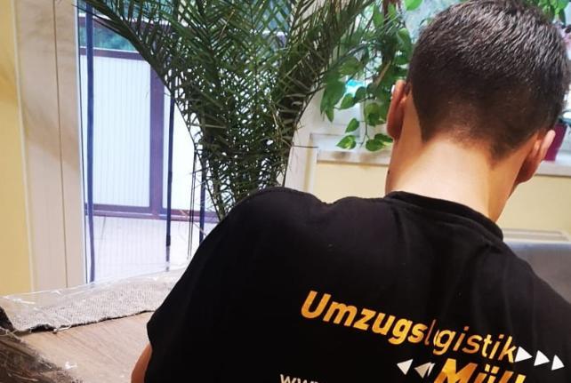 Laborumzug Niesky stressfrei umziehen 
